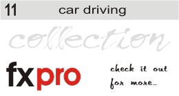 11. Car Driving