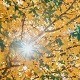 Ambient Series Sunset Chill