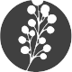 Ghost Death Variants