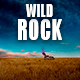 American Texas Cinematic Rock